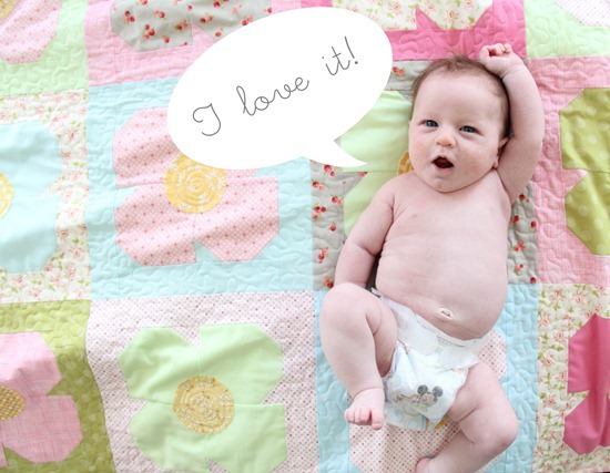 sophie loves quilt