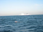 Der Schiffsverkehr ist teilweise sehr beeindruckend. Als Schwimmer hat man etwas Abwechslung und die Bugwellen dienen als Prüfstein für die Seefestigkeit der Supportcrew. - The boat traffic is very impressing. Something interesting for the swimmer and a test for the sea legs of the support crew.