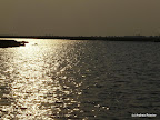 Chobe Nationalpark