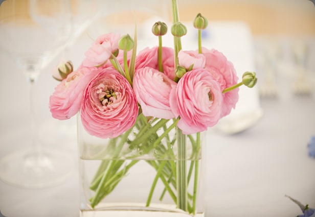 2108_original_CK4_6112 soiree floral 2108_original_CK4_6112 soiree floral