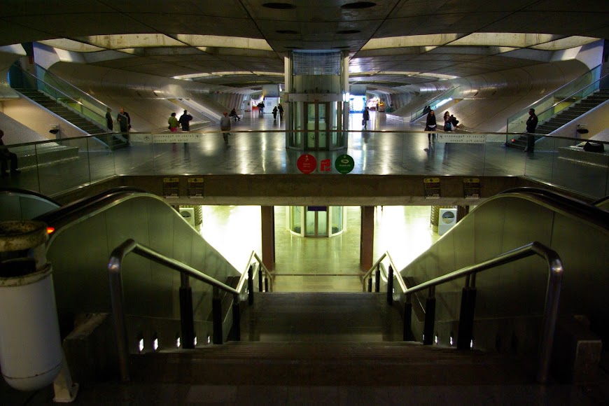 IMGP1466.JPG