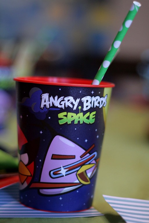 [Angry-Birds-Party-0533.jpg]