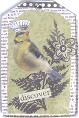 acrylic bird tag done at Michaels