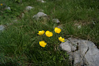 DSC03256.JPG