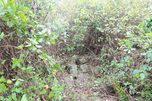 kYUHdi kYUHdi
