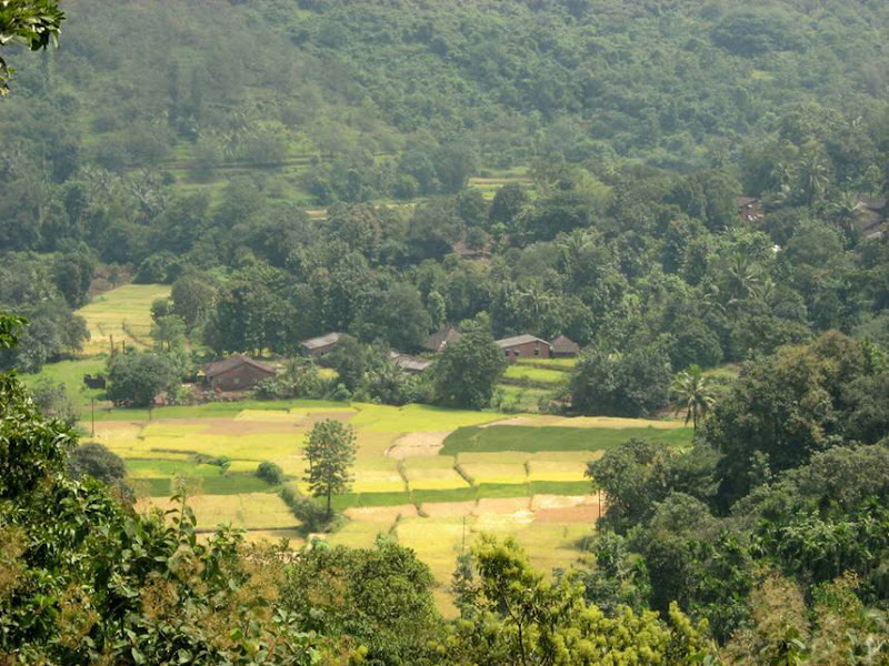 View Larger Image. Current:800x599 Available:858x643 :: Incredible India : Konkan Incredible India : Konkan