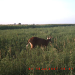 ICAM0099.JPG