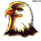 eagle-head-03-cabe%25C3%25A7a.jpg
