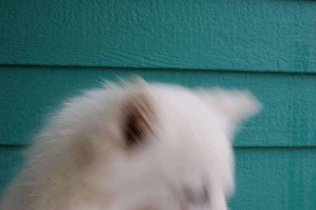 [DSC_5518%255B4%255D.jpg]