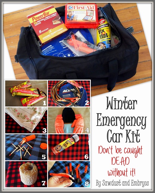 Winter Emergency Survival Kit... DON'T LEAVE HOME WITHOUT THESE ITEMS!