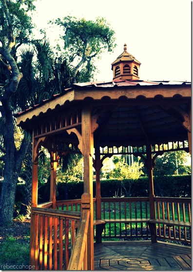 photo (7)