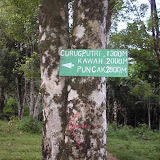 One of many signs on the Pulosari trail (Daniel Quinn, May 2010) One of many signs on the Pulosari trail (Daniel Quinn, May 2010)