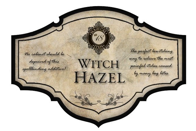 [Witch%2520Hazel%255B4%255D.jpg]