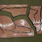 CIMG2600.JPG
