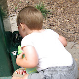 IMG_1805.JPG