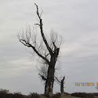 IMG_1590.JPG