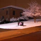 DSC_1204.JPG