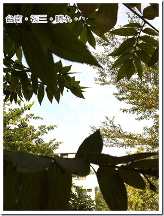 blog-40 blog-40