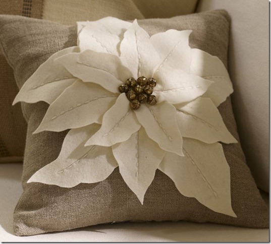 PB poinsettia PB poinsettia