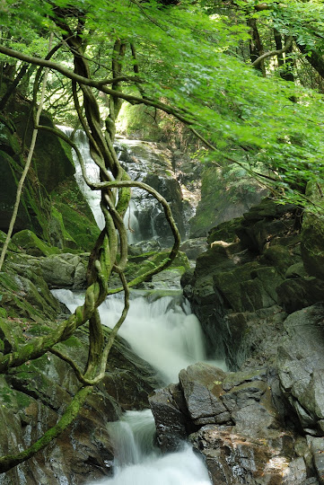 保永の三滝