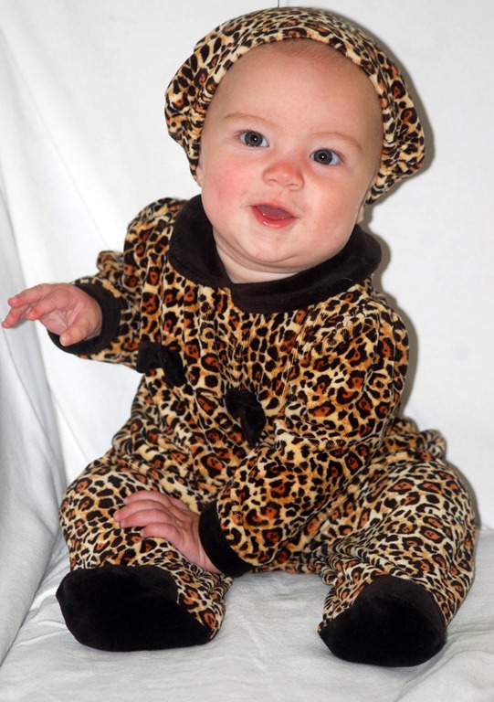 [leopard2%255B6%255D.jpg]