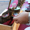 Concurso Arte Cisoria 2010