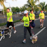 Pet Express Doggie Run 2012 Philippines. Jpg (101).JPG