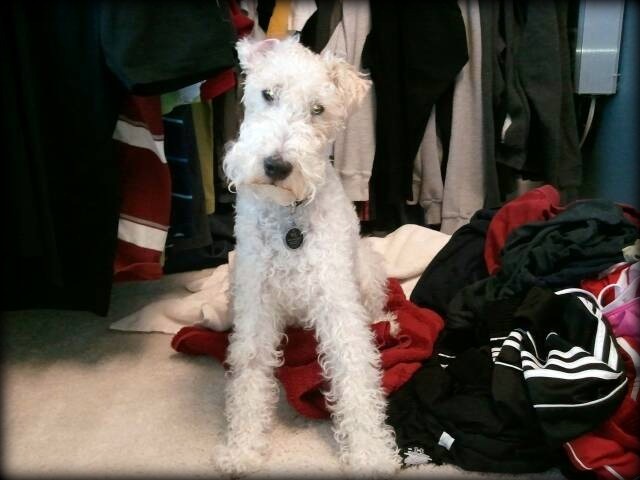 [11%2520-%25201%25281%2529pn%255B3%255D.jpg]