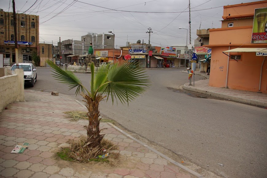 IMGP3009.jpg