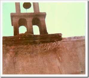 IMG_1827 IMG_1827
