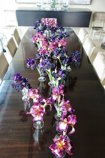 I used a collection of art deco glasses and filled them with two types of bearded iris and created a landscape running down the middle of the table. I used a collection of art deco glasses and filled them with two types of bearded iris and created a landscape running down the middle of the table.