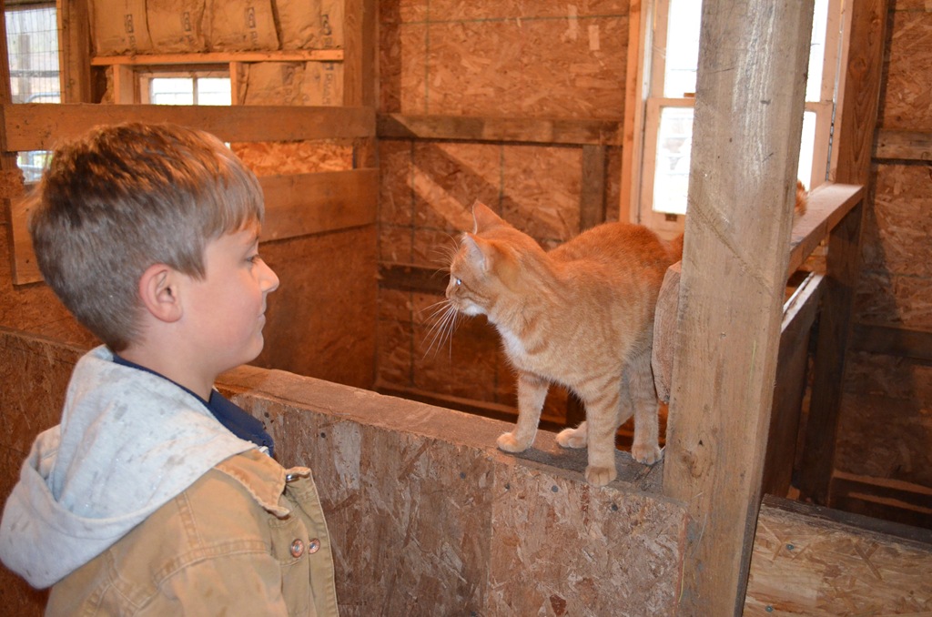 [DSC_2648%255B6%255D.jpg]