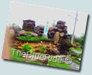 WP_000136 WP_000136