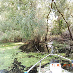 DSCN2955.JPG