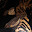 detail from double sided 8-panel Japanese screen