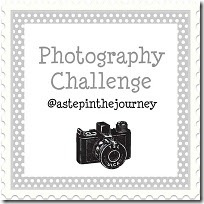 photo_challenge_button_2 photo_challenge_button_2