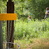 Sommerliga 2011 - [4] Disc-Golf