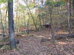 main trail heading West from campground