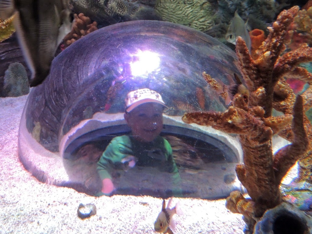 [DSCN8735%255B3%255D.jpg]