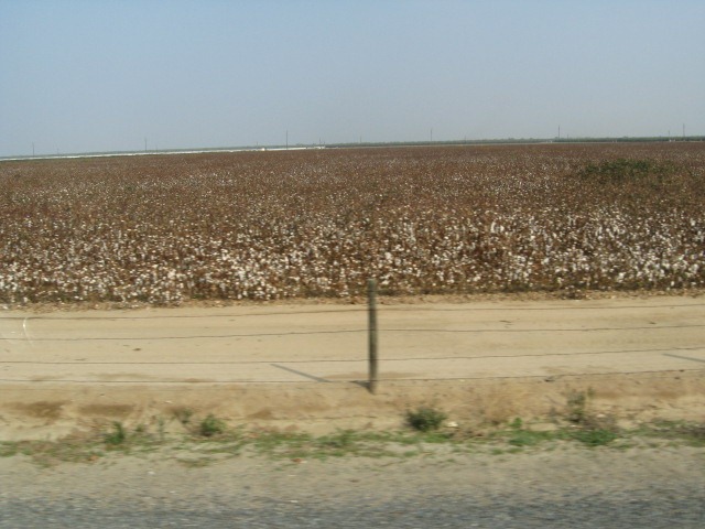 [IMG_1022%255B3%255D.jpg]