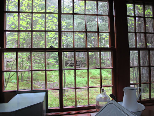 And, the cool, damp weather we're having is conducive for mushroom hunting.