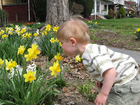 &ndash; 19-Apr-2008