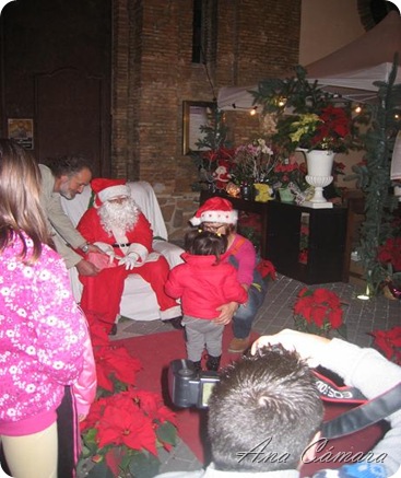 IMG_7824 IMG_7824
