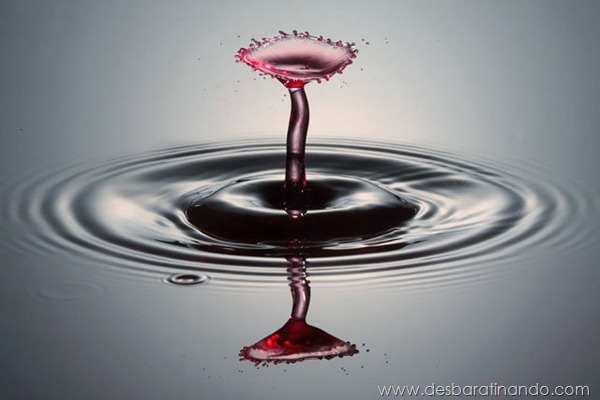 liquid-drop-art-gotas-caindo-foto-velocidade-hora-certa-desbaratinando (66) liquid-drop-art-gotas-caindo-foto-velocidade-hora-certa-desbaratinando (66)