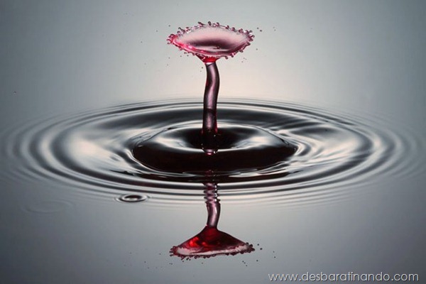 liquid-drop-art-gotas-caindo-foto-velocidade-hora-certa-desbaratinando (66)