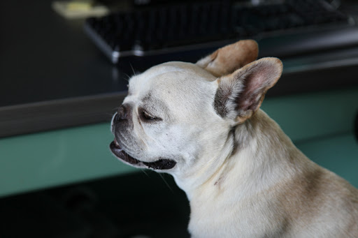 Wow, Franny!  Your work ethic is very inspiring.  I'll get cracking on those emails now.  I want Susie to be so proud of us when she comes back from vacation next week!