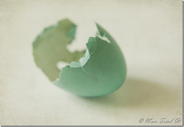 Robin egg