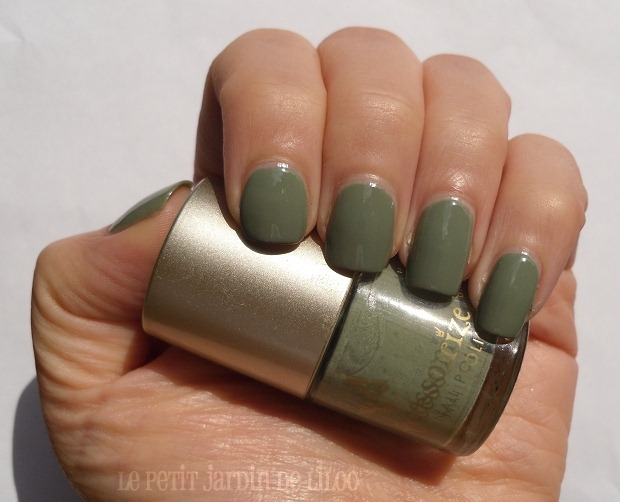 [002-accessorize-nail-polish-wyoming-notd-review-swatch%255B4%255D.jpg]
