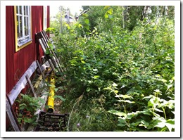 IMG_4746 IMG_4746