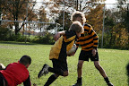 Mini's 06-11-'10